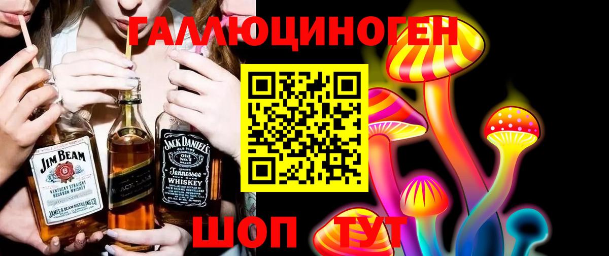 Псилоцибиновые грибы GOLDEN TEACHER Ростов-на-Дону